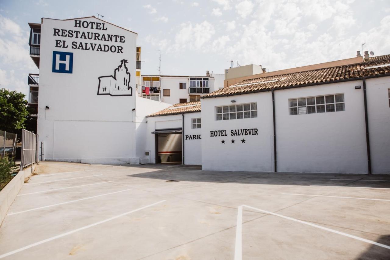Hotel Salvevir Ejea De Los Caballeros Eksteriør billede